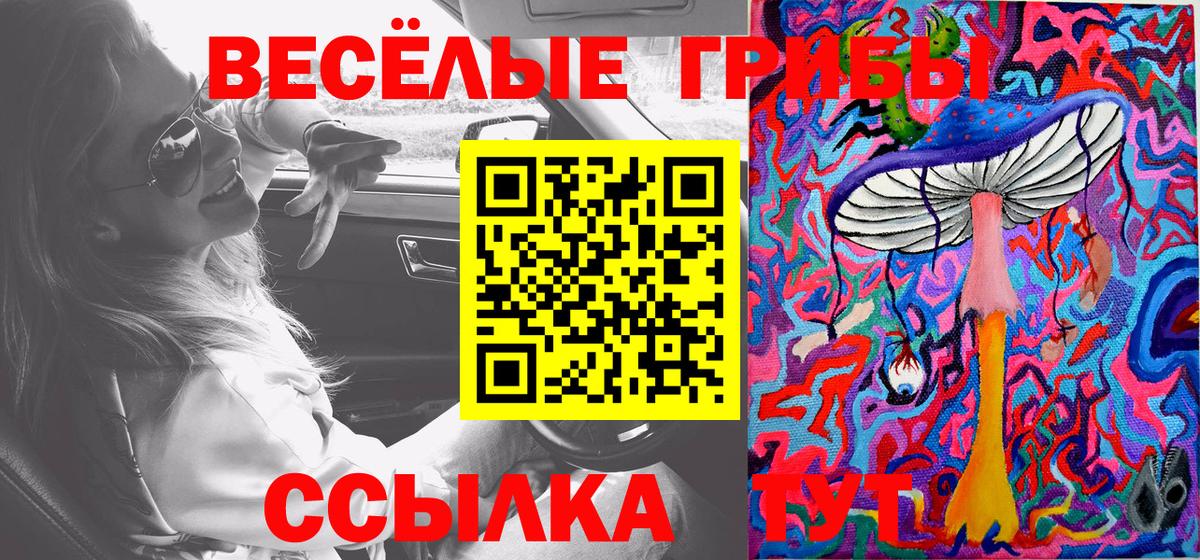 Галлюциногенные грибы GOLDEN TEACHER Губаха